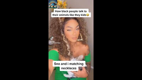 How Melanated People Talk w/ Their Pets - Cats Will Be Cats