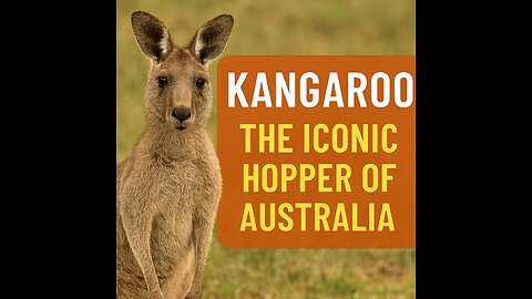 ^_^ information about 🦘 Kangaroo " الكنغر المخلوق الذي لا يستطيع المشي للخلف "