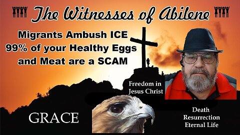 Migrants Ambush ICE 99% of your Healthy Eggs and Meat are a SCAM