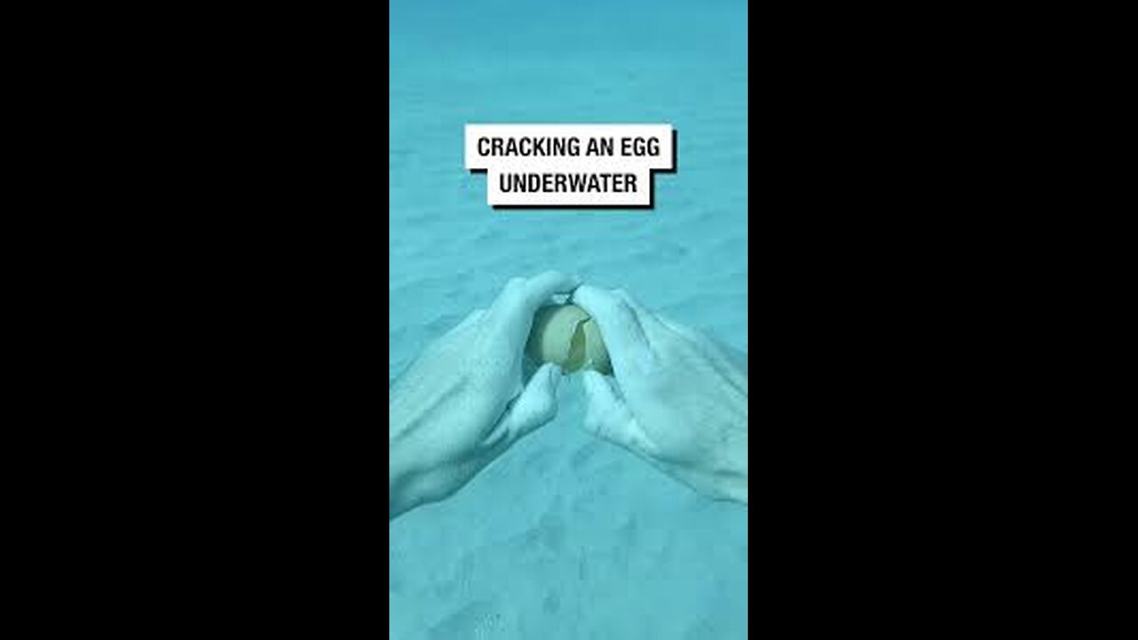 What happens if you crack an egg in ocean ?