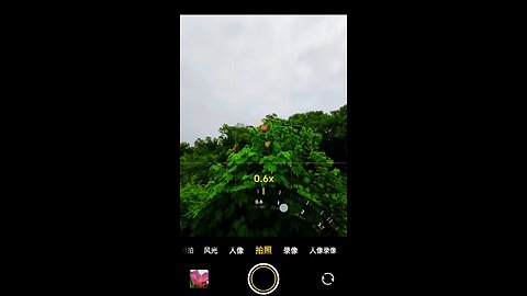 Vivo x200 camera result