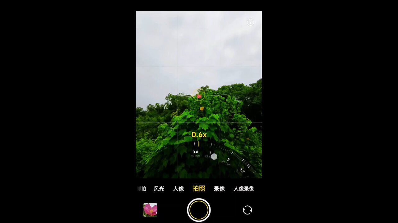 Vivo x200 camera result