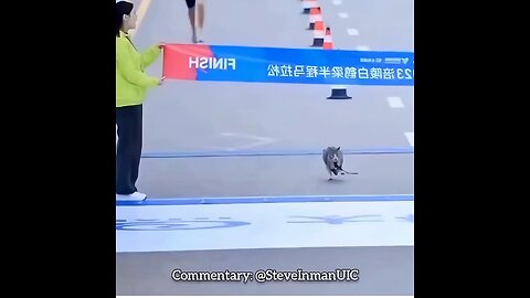 Animals vs. Humans