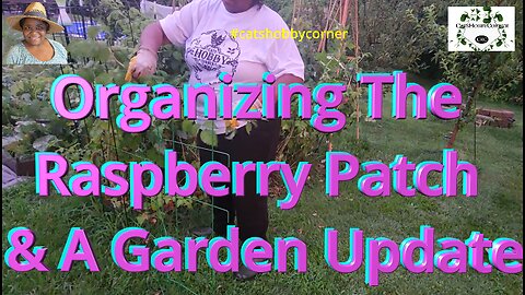 Organizing The Raspberry Patch & A Garden Update - #catshobbycorner #raspberry