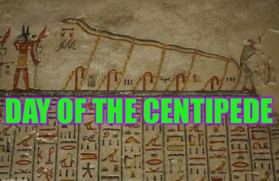 Egyptian Day of the Centipede