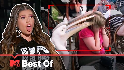 Ridiculousnessly Popular Videos: Restaurant Edition 🍛🍲