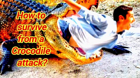 How To Survive From A Crocodile Attack