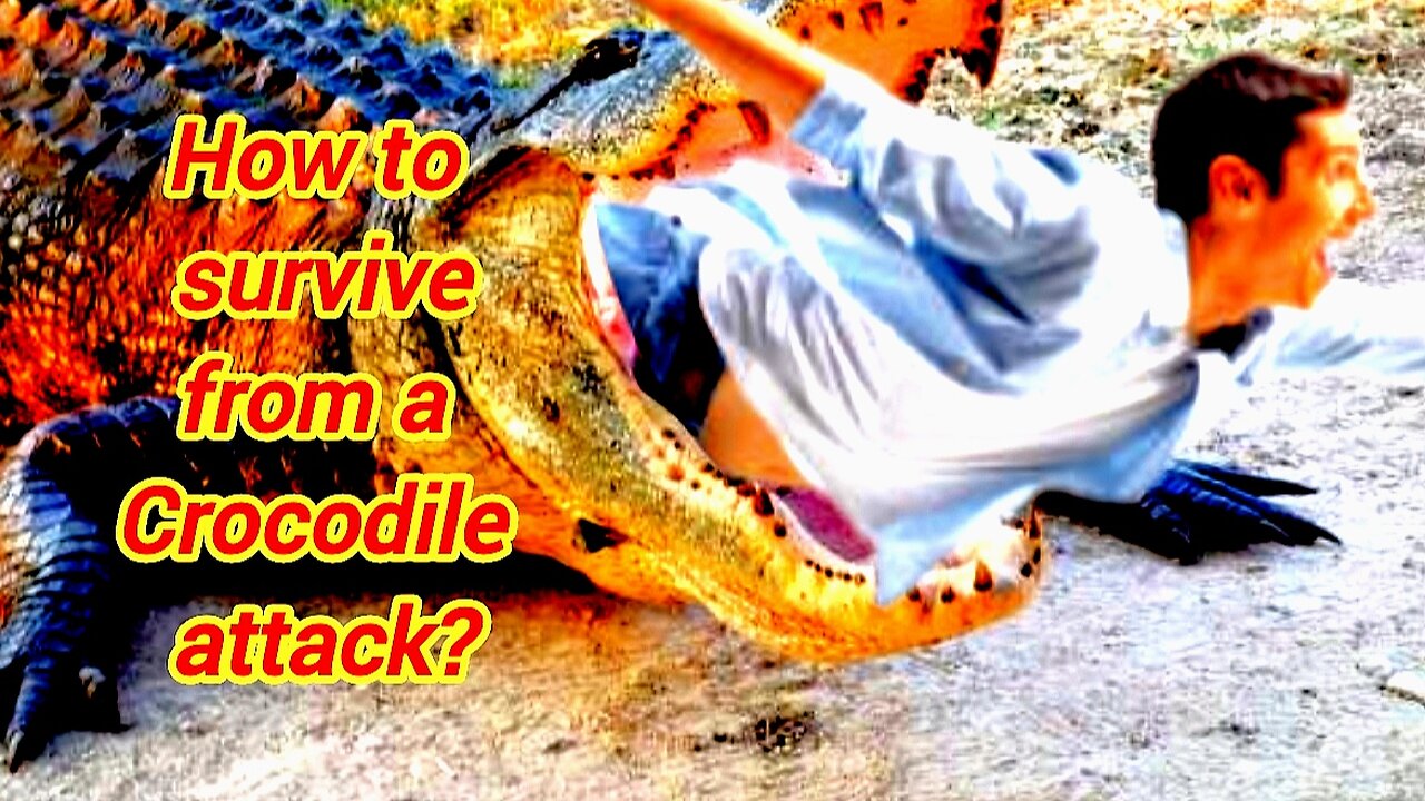How To Survive From A Crocodile Attack