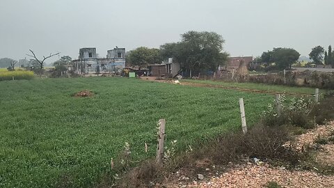 The road to my village