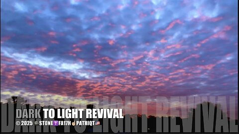 DARK TO LIGHT REVIVAL