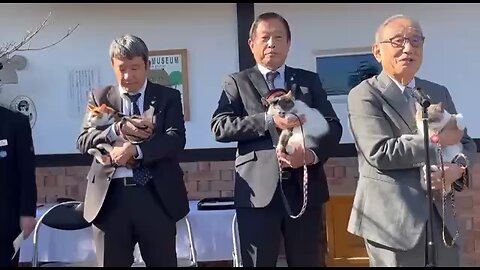 🇯🇵A cat has been appointed the new train station attendant in Japan