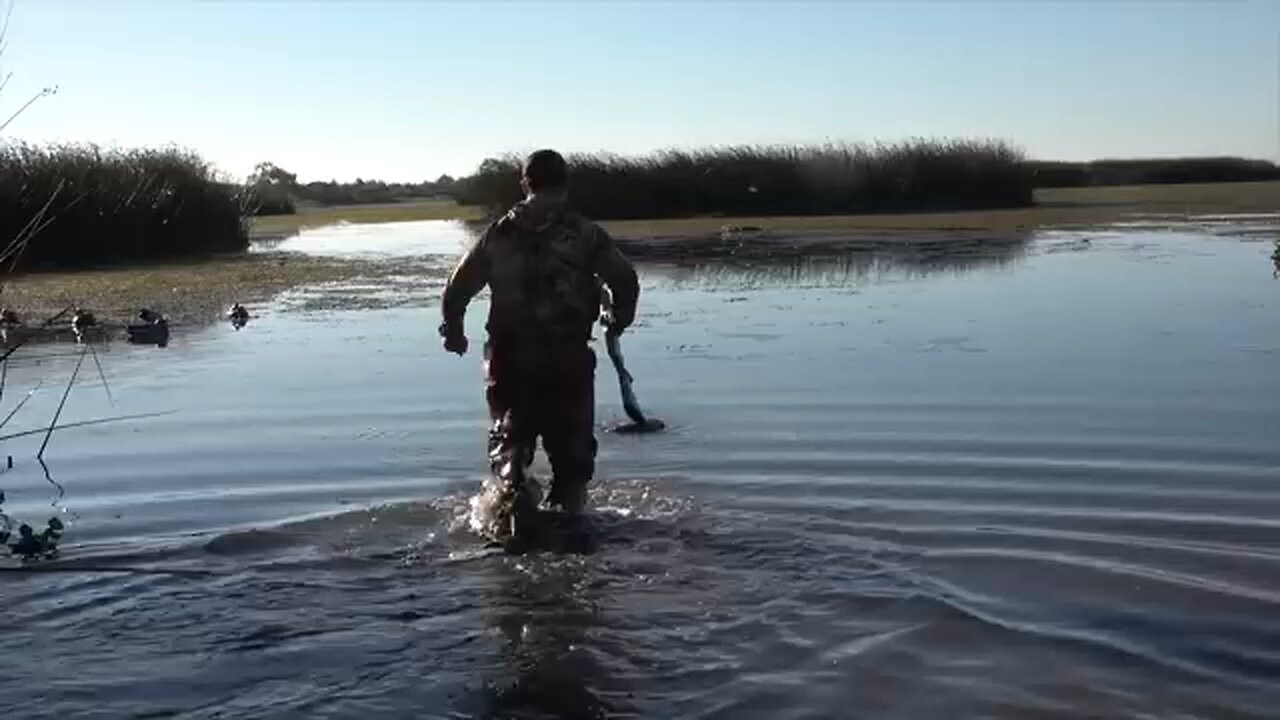 DUCK HUNTING VIDEO | Hunt Of The Year