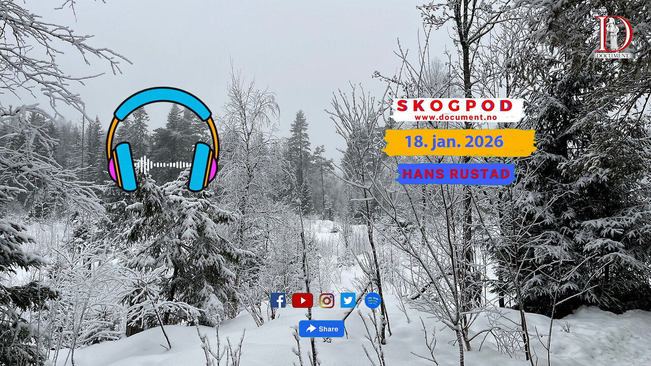 Skogpod 18. januar 2026