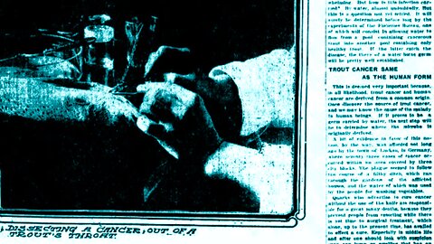1911: Trout cancer same as human cancer! New science 25yr after 1st intramuscular injection vaccines