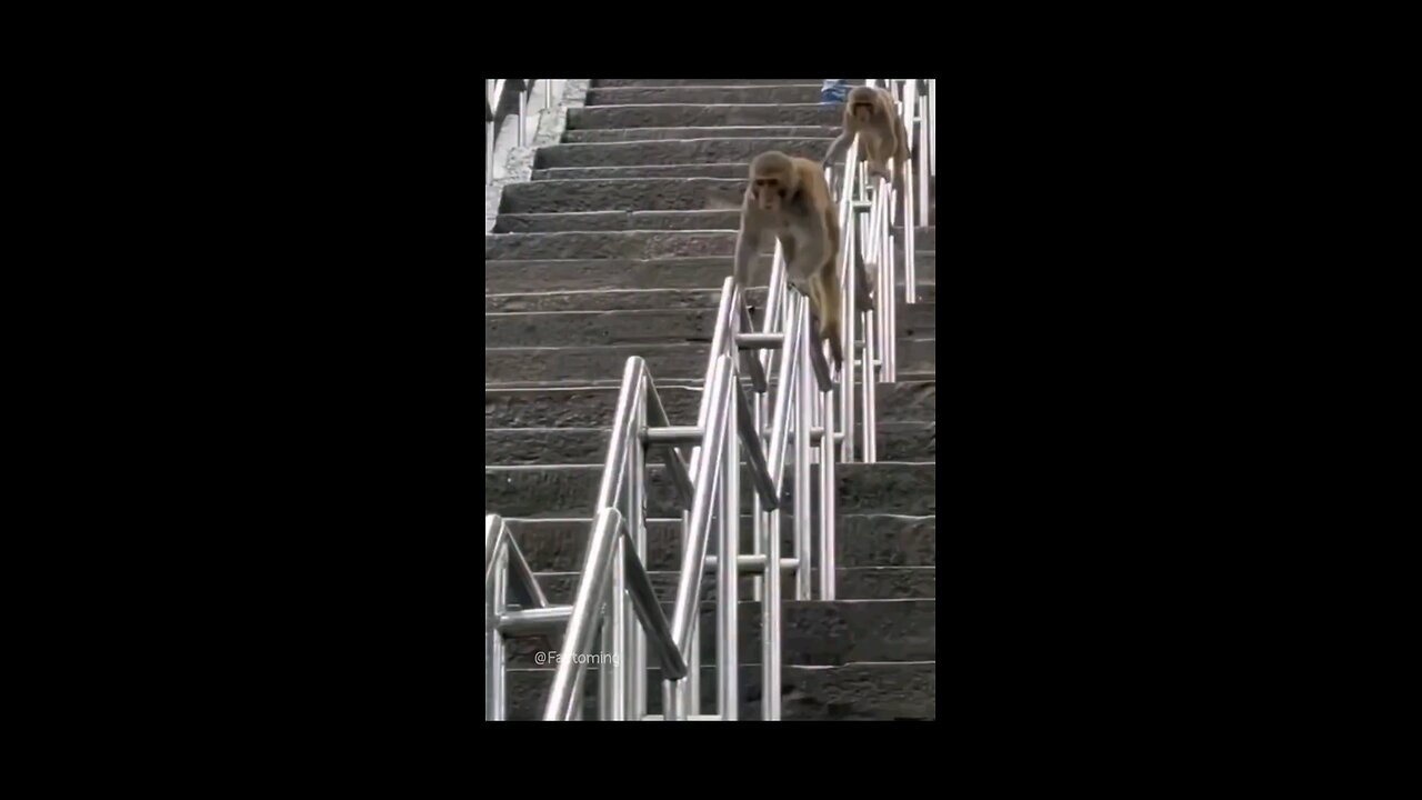 बडा मजा आ रहा है