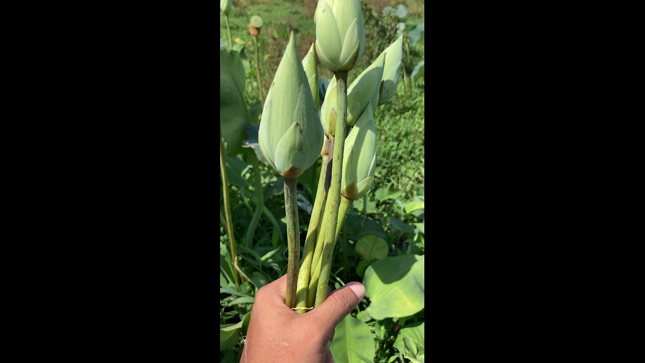 Flowers 😨❤️