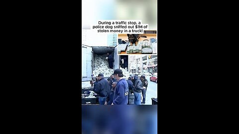 Montgomery K-9 unit uncovers $1 million in hidden cash during bust