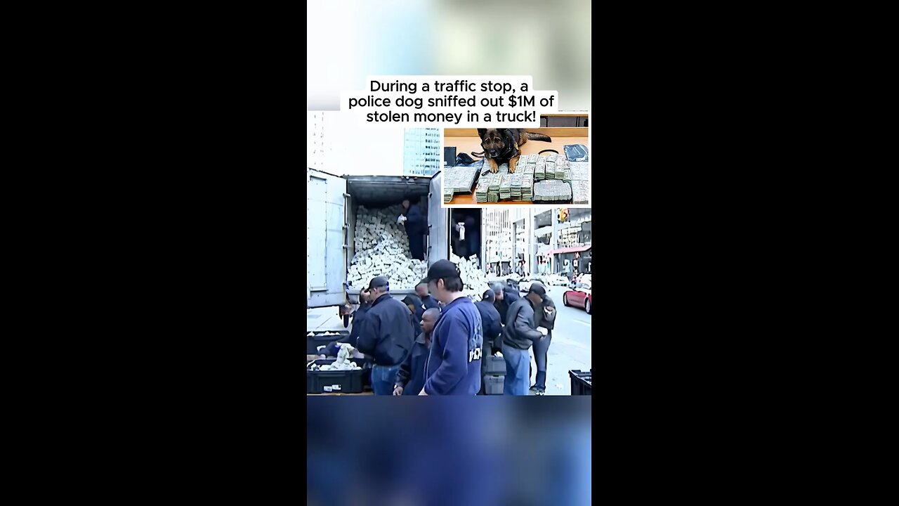 Montgomery K-9 unit uncovers $1 million in hidden cash during bust