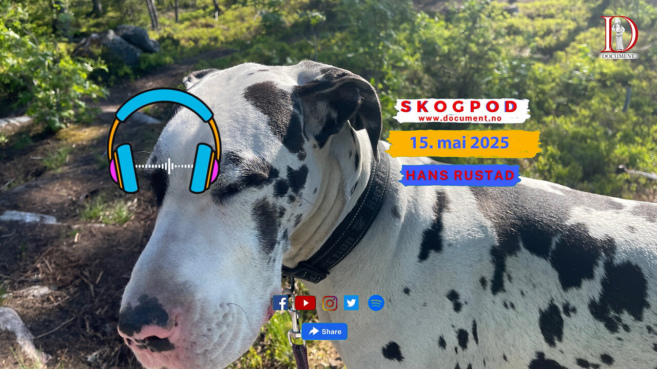 Skogpod 15. mai 2025