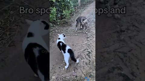 When Animals Have No Idea What They’re Doing!