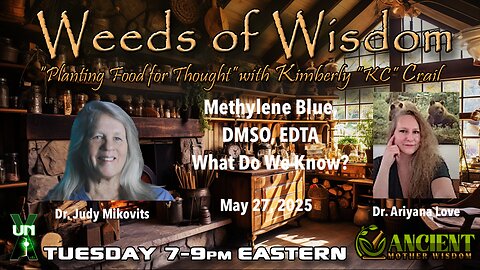 Wow! Judy Mikovits, Ariyana Love - Methylene Blue, DMSO, EDTA - What do we know?