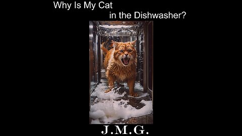 Why Is My Cat in the Dishwasher? by John M. Gunn