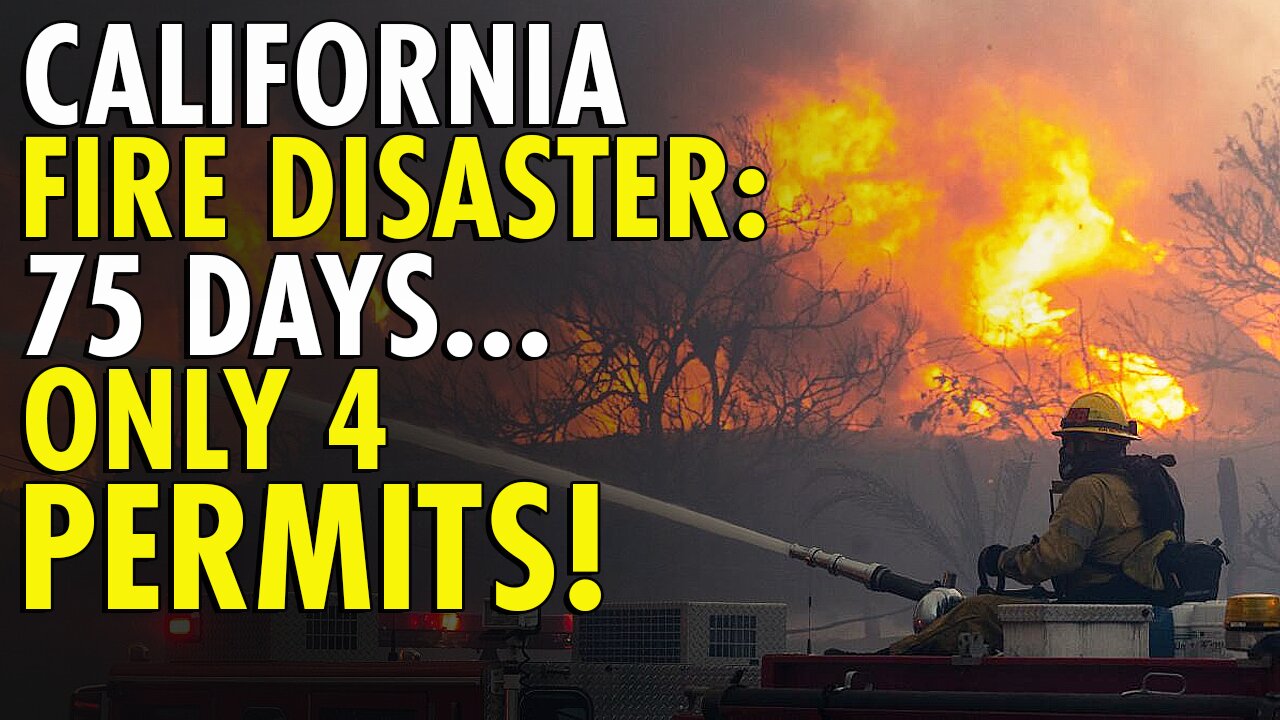 75 Days After the Palisades Fire, Only Four Building Permits Have Been Issued