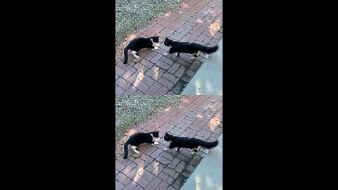 Double Trouble