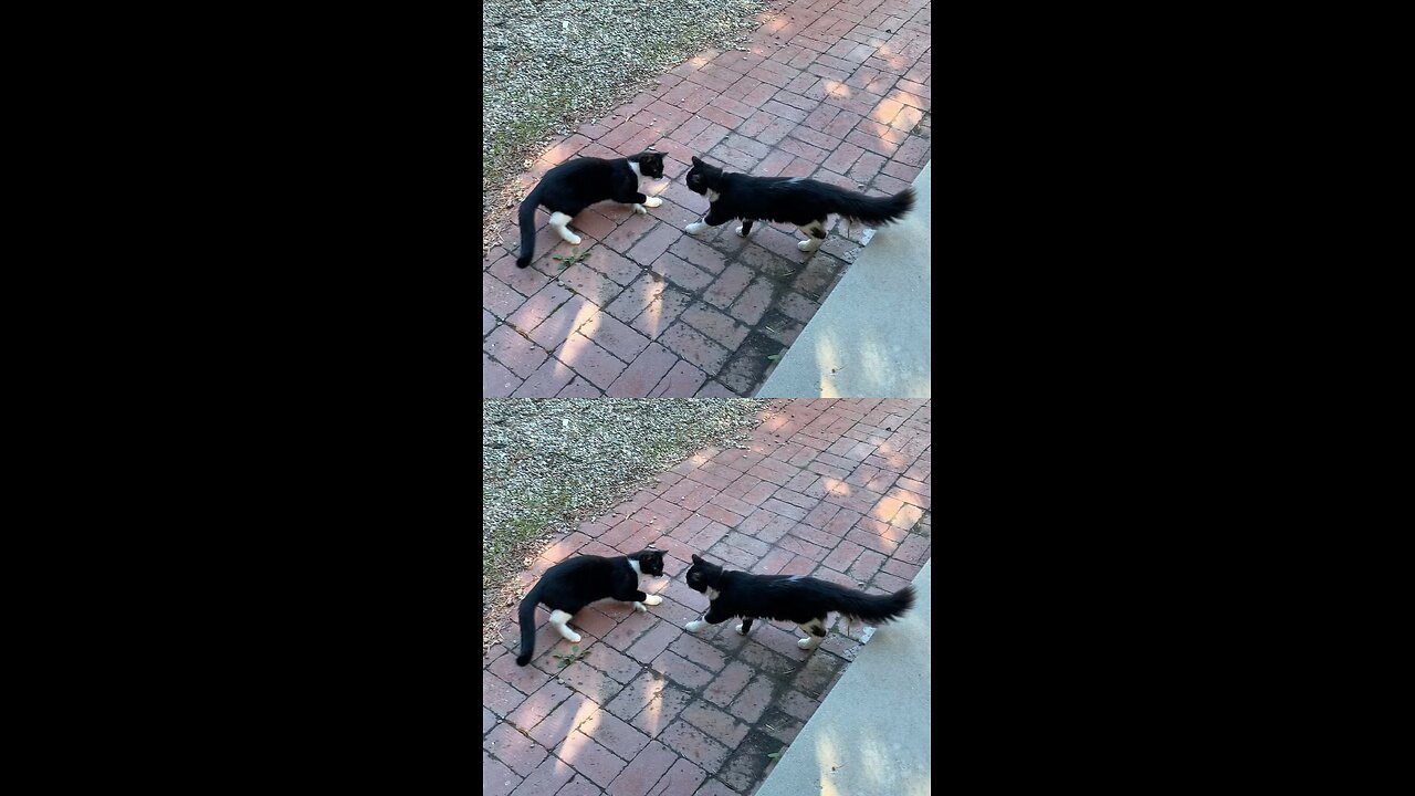 Double Trouble