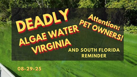 Harmful - Deadly Algae - ATTENTION: Pet Owners #deadly Algae #pet Owners #public Safety