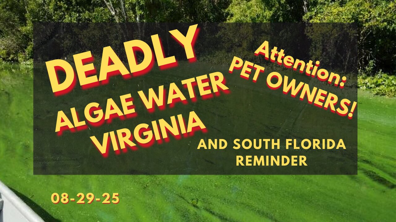 Harmful - Deadly Algae - ATTENTION: Pet Owners #deadly Algae #pet Owners #public Safety