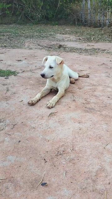 Amazing Best SokYalla, OG, Pao & Mom Are Famous Job Best SokYaa, OG, Pao & Mom Are Famous Around T