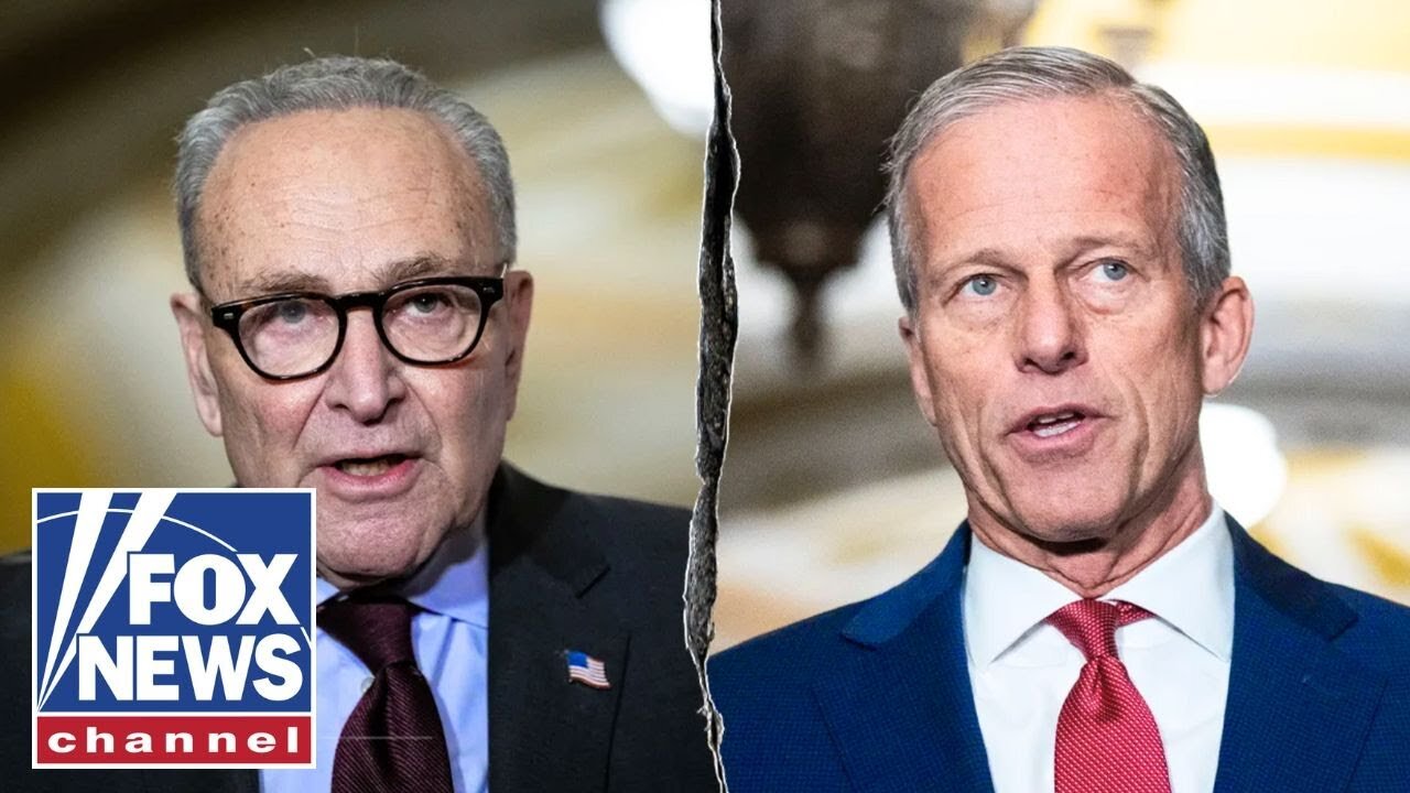 JUST IN: Senate VOTES DOWN dueling health care proposals