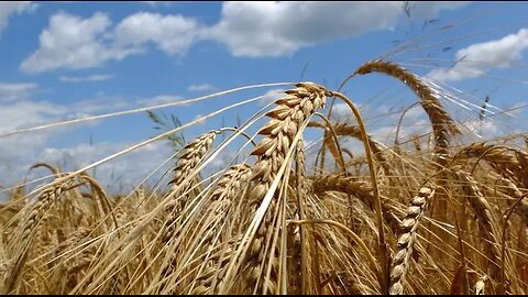Rapture High WATCH September 2025; Let's look at this Biblically, Maranatha!