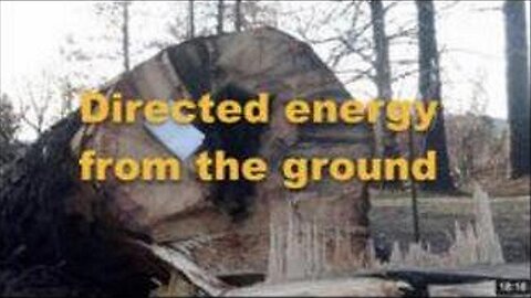[Feb 9, 2020] Did Underground Lightning Torch the Trees and Home [williamgenske]