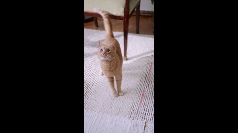 Turn Around...