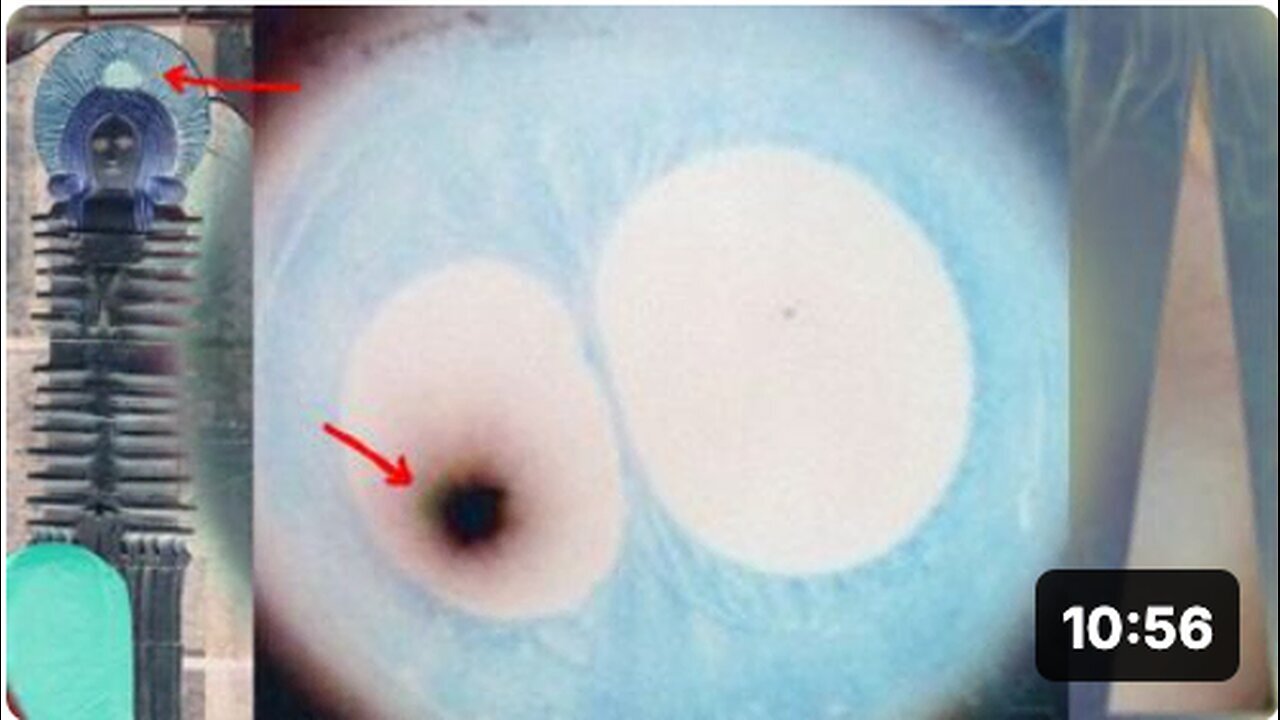 "Unexpected Event Before Christmas: You Won't Believe What Happened!"