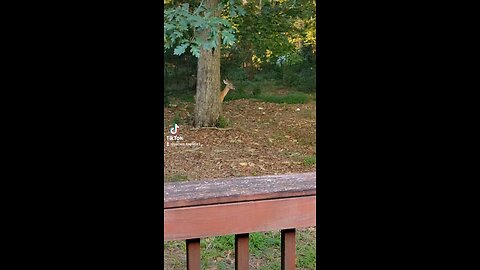 New friend