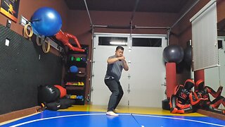 WTD 2 Step Kick Combination 161