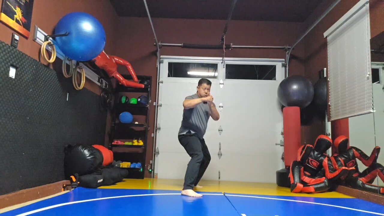WTD 2 Step Kick Combination 161