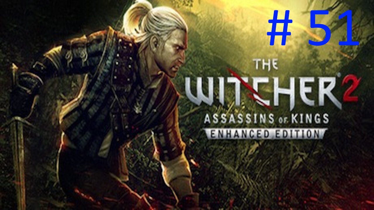 Let's Play Witcher 2 Blind # 51 🌟Do Over🌟