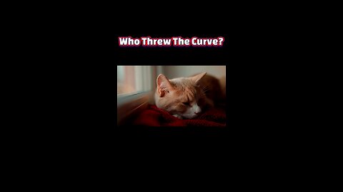Half-Open Dreamers: Unraveling the Feline Sleep Mystery