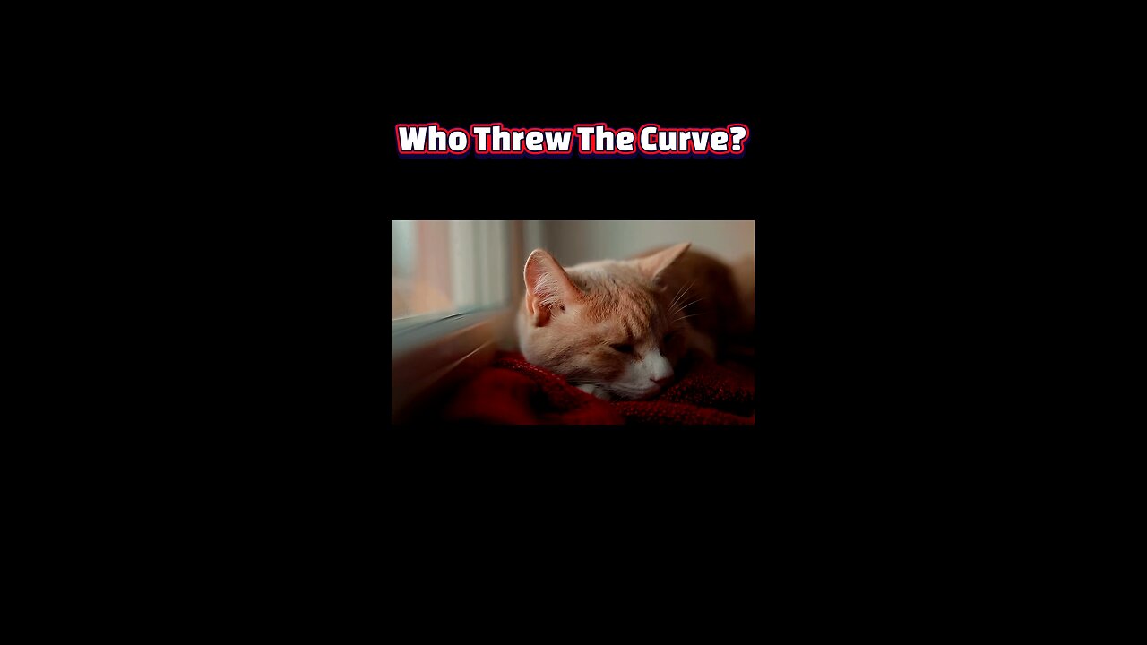 Half-Open Dreamers: Unraveling the Feline Sleep Mystery