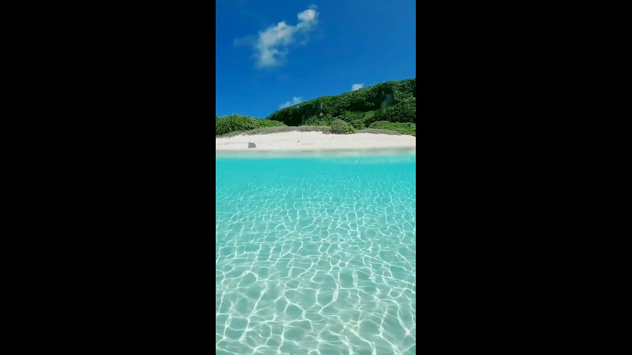 The ocean has the power to heal everything.