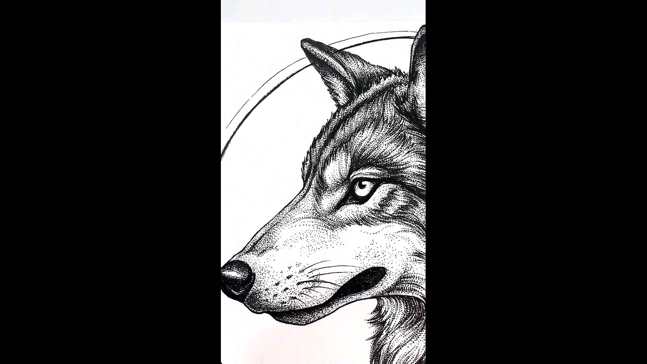 Dog or Wolf? One Dot Changed the Whole Drawing! 😳🖊️