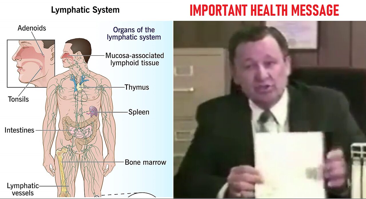 Learn The Importance of the Lymphatic System