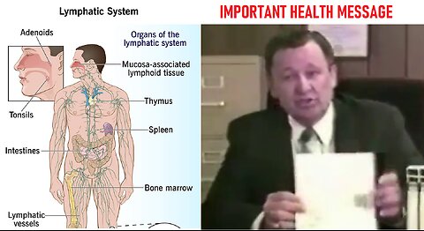 Learn The Importance of the Lymphatic System