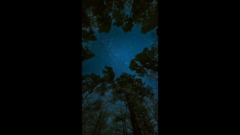 请复习这周经文 和祷告。 感谢主赐我们一切， 并且与我们同在。 阿门