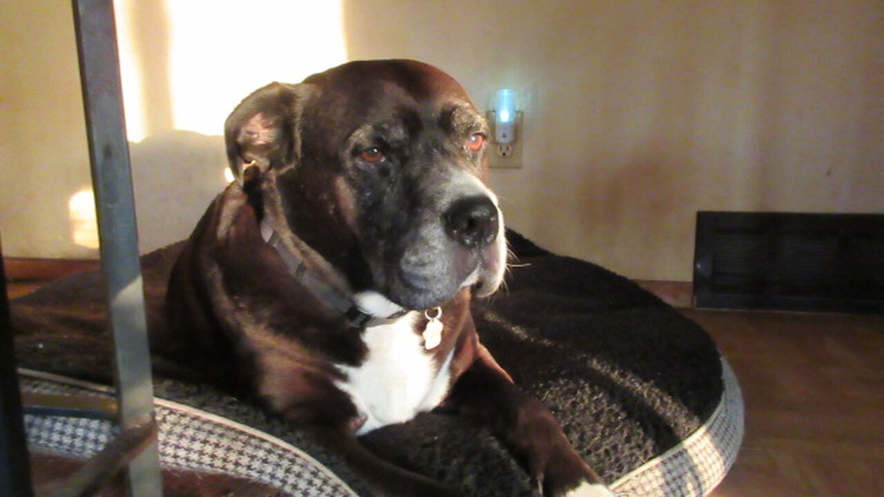 just chatting setting up studio again