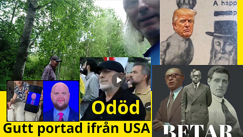 Fredskonst. 12dagarskriget över; sionistterror. Odöd Qaani. Hemsk ojudisk socialism? Betar_USA